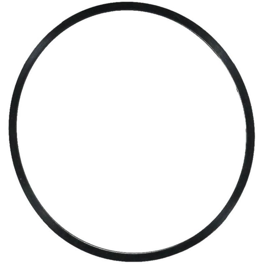 Victor Reinz 41-77548-00 Engine Coolant Thermostat Housing Gasket