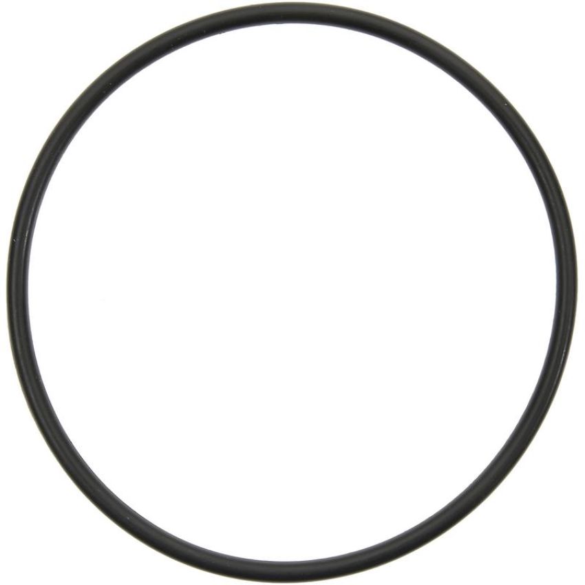 Victor Reinz 71-14114-00 Fuel Injection Plenum Gasket