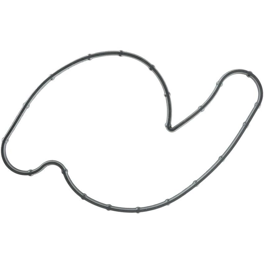 Victor Reinz 71-14193-00 Engine Water Pump Gasket