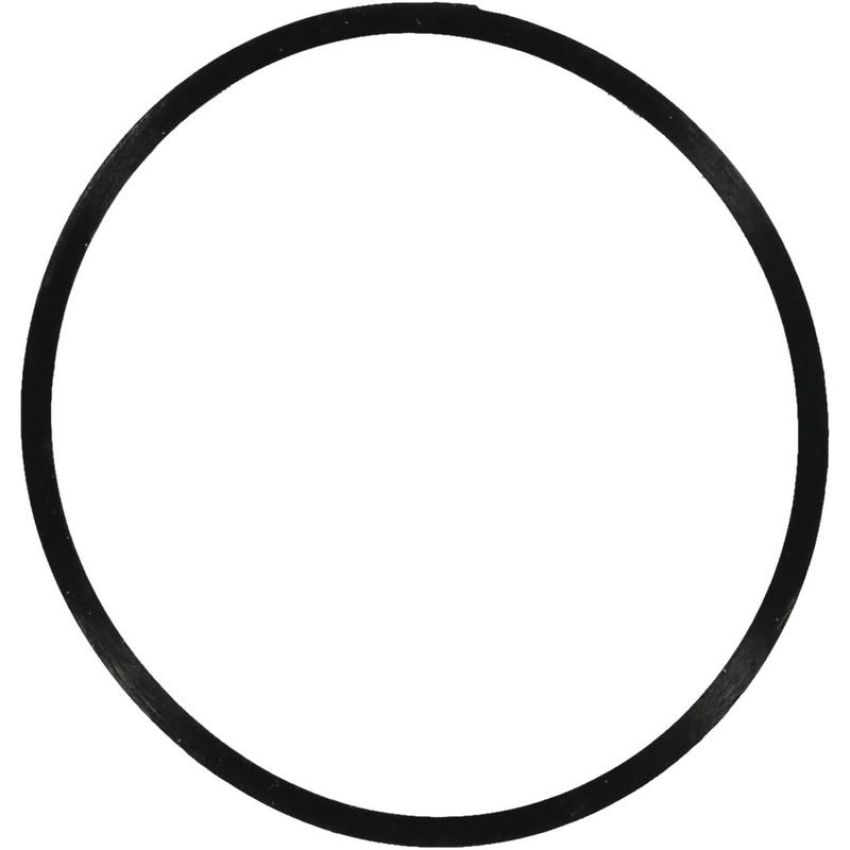 Victor Reinz 71-14220-00 Engine Coolant Thermostat Housing Seal