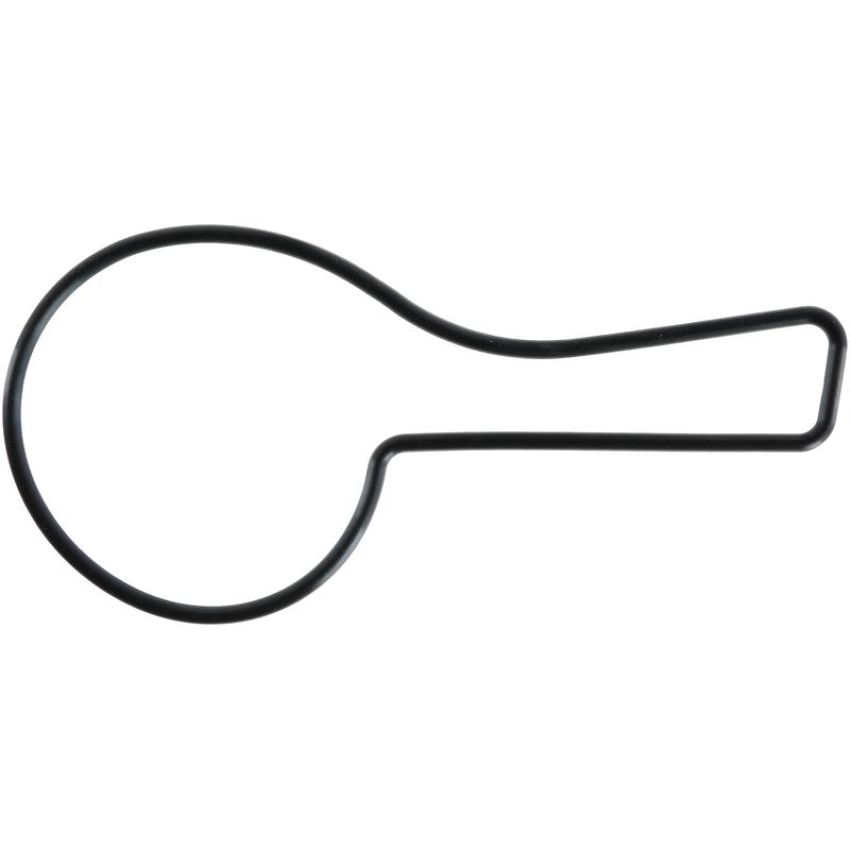 Victor Reinz 71-14552-00 Engine Water Pump Gasket