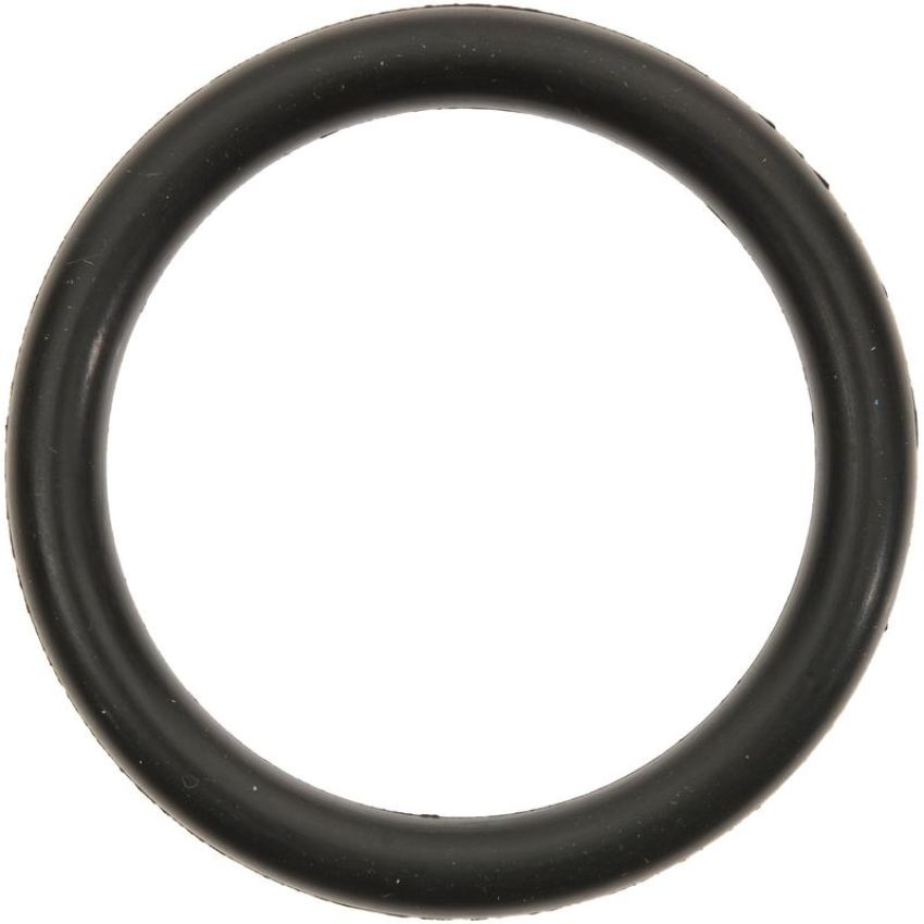 Victor Reinz 71-14610-00 Engine Coolant Thermostat Housing Gasket