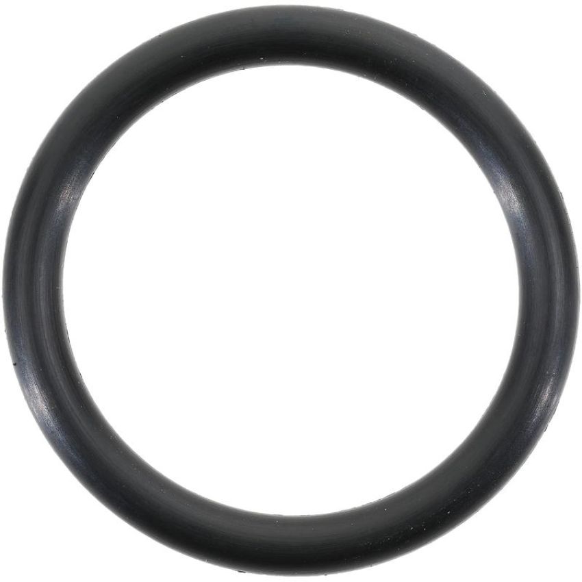 Victor Reinz 71-14619-00 Fuel Pump Mounting Gasket