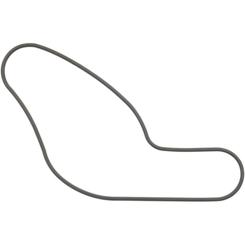 Victor Reinz 71-15234-00 Engine Water Pump Gasket