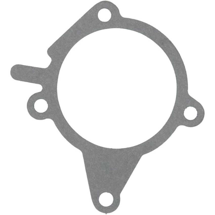 Victor Reinz 71-15591-00 Engine Water Pump Mounting Gasket