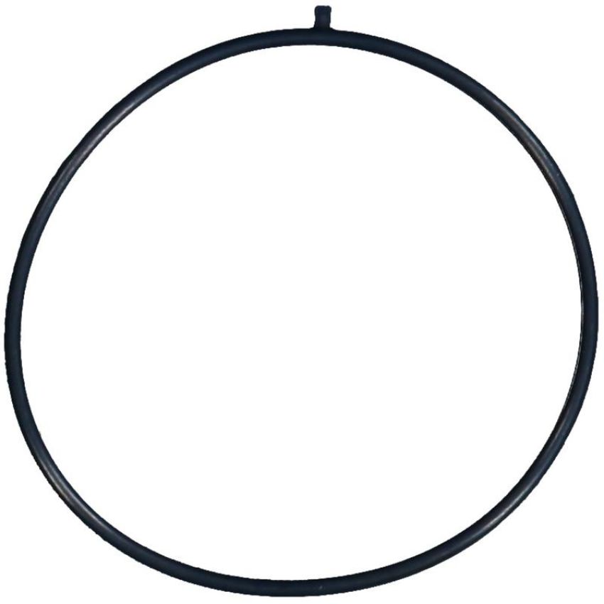 Victor Reinz 71-15672-00 Fuel Injection Throttle Body Mounting Gasket