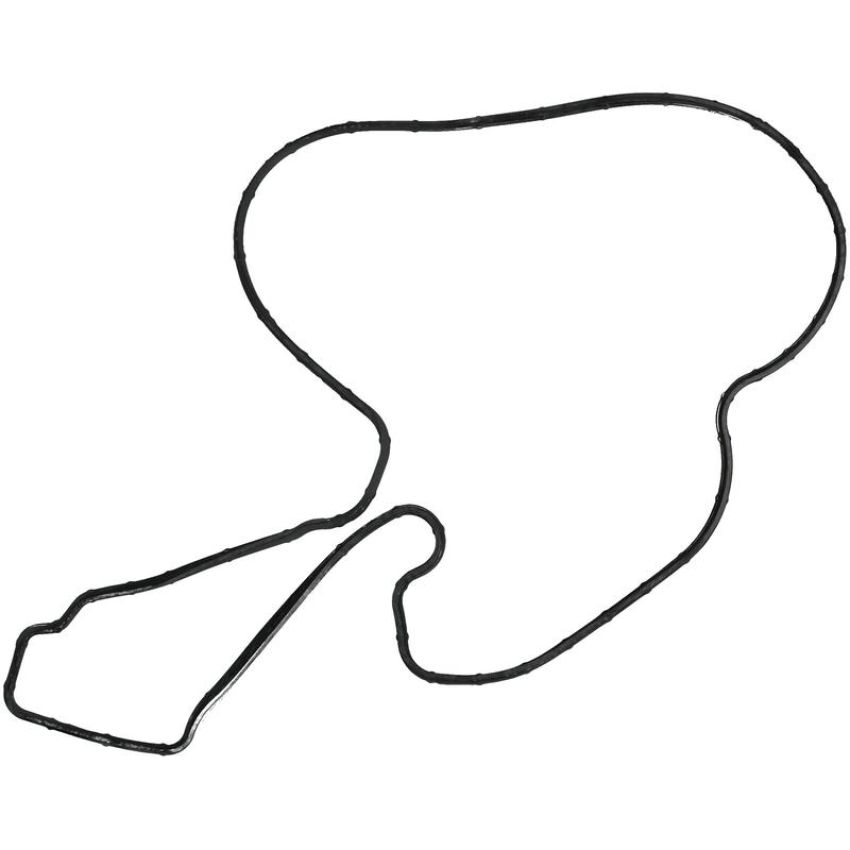 Victor Reinz 71-16053-00 Engine Water Pump Gasket
