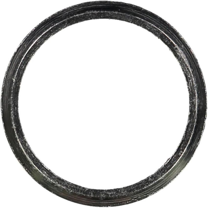 Victor Reinz 71-23972-20 Exhaust Manifold Gasket