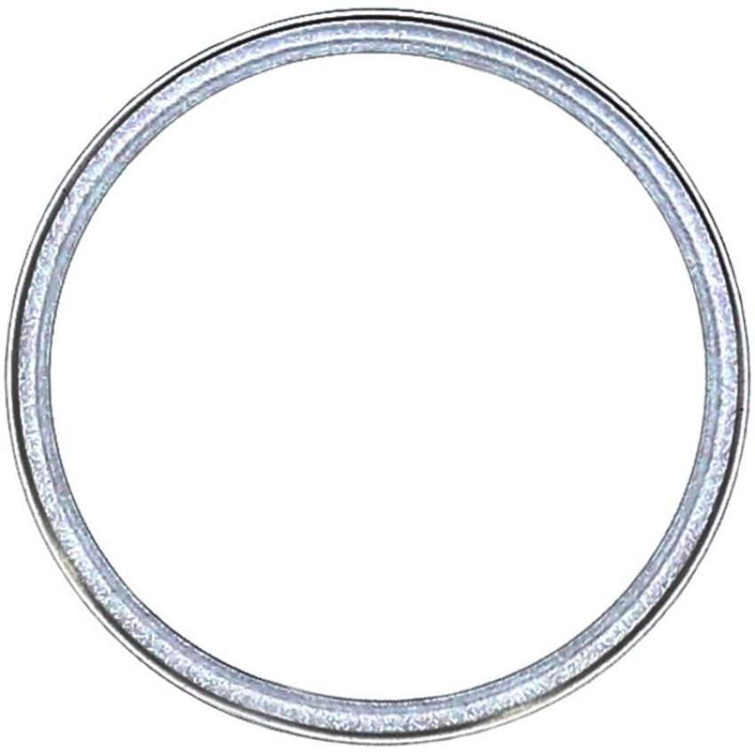 Victor Reinz 71-24953-30 Exhaust Manifold Gasket