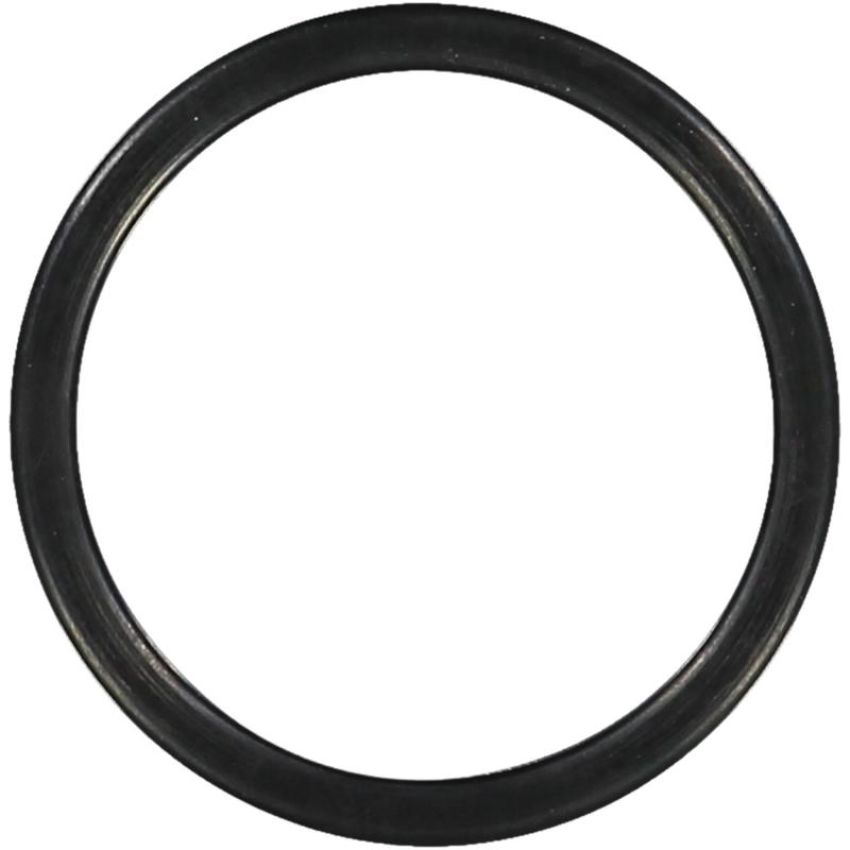 Victor Reinz 71-31308-00 Engine Coolant Thermostat Housing Seal