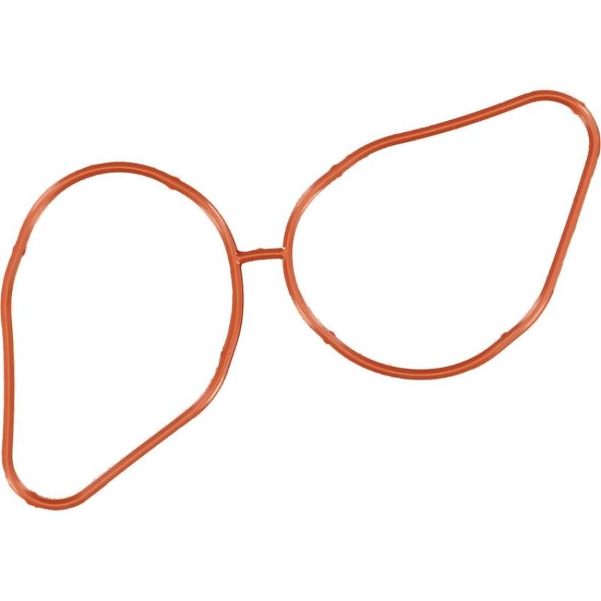 Victor Reinz 71-34242-00 Fuel Injection Plenum Gasket