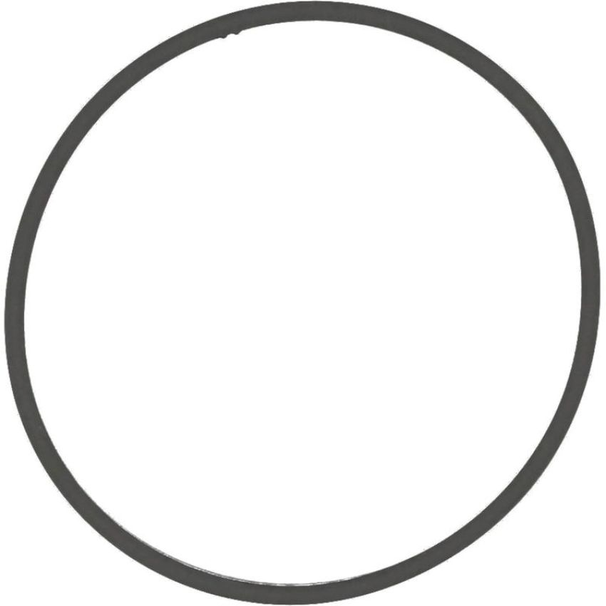 Victor Reinz 71-39409-00 Engine Intake Manifold Gasket