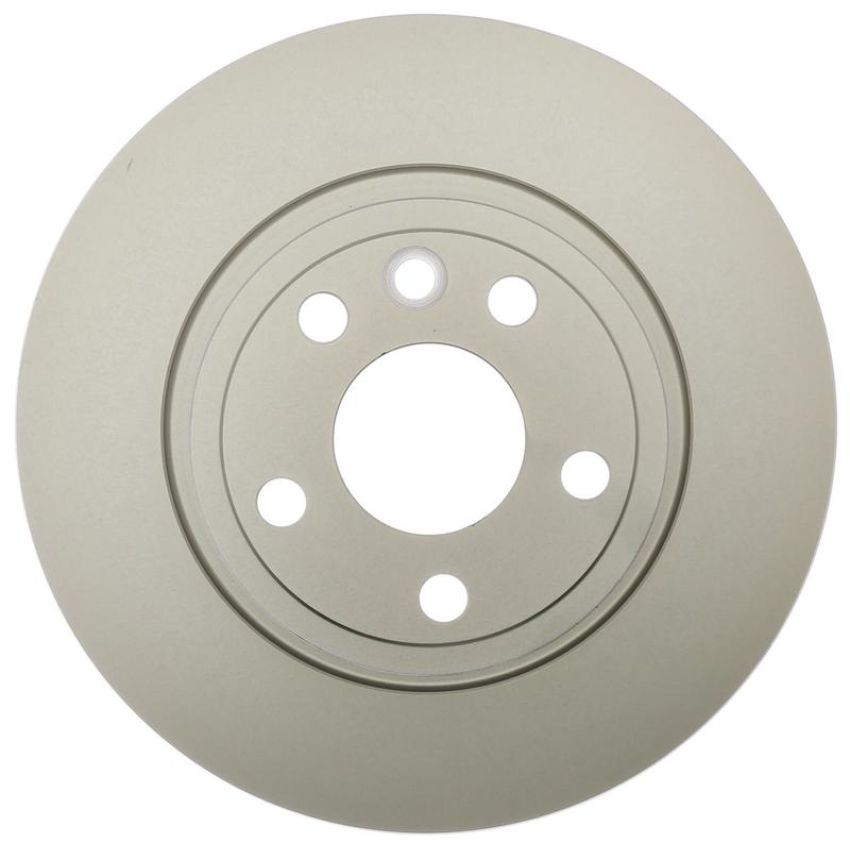 Raybestos 981820 Raybestos Specialty - Truck Coated Brake Rotor