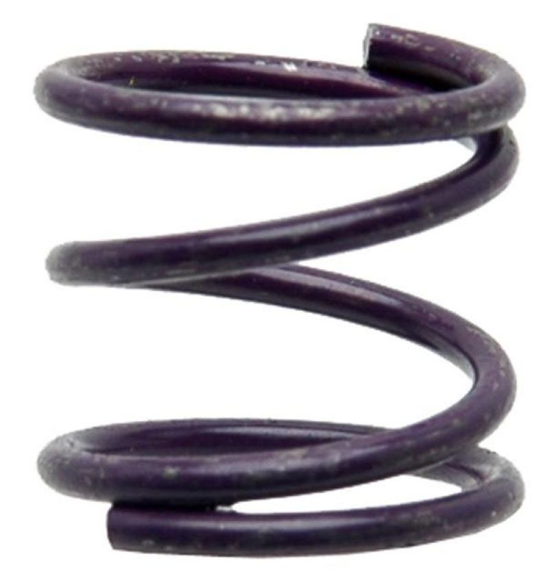 Raybestos H1084 Raybestos R-Line Hold Down Spring Pack of 12
