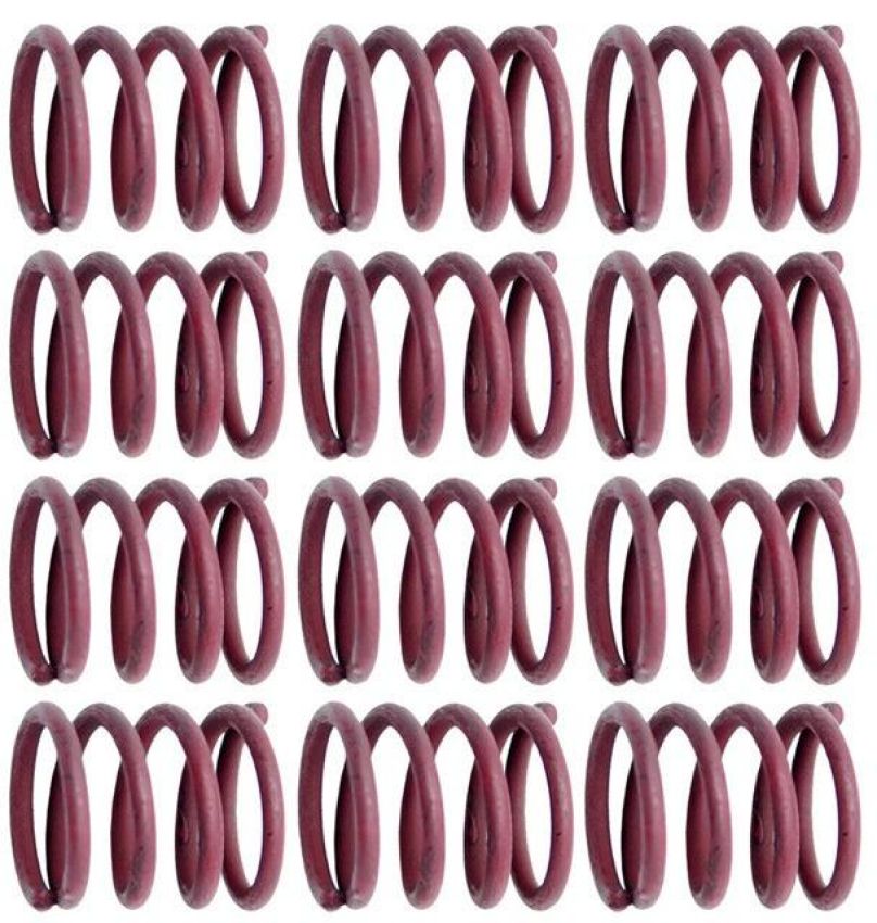 Raybestos H11152 Raybestos R-Line Hold Down Spring Pack of 12