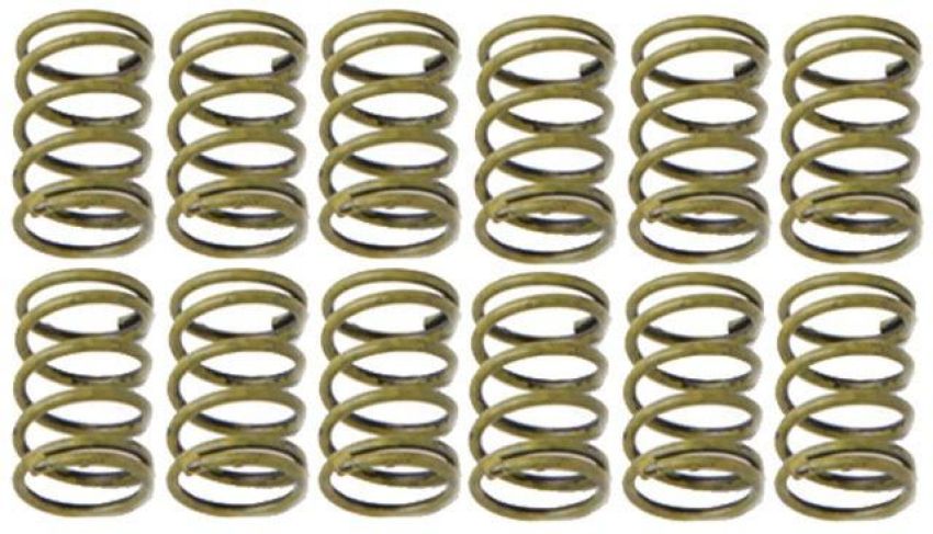 Raybestos H1150 Raybestos R-Line Hold Down Spring Pack of 12