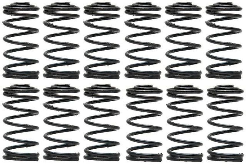Raybestos H1153 Raybestos R-Line Hold Down Spring Pack of 12