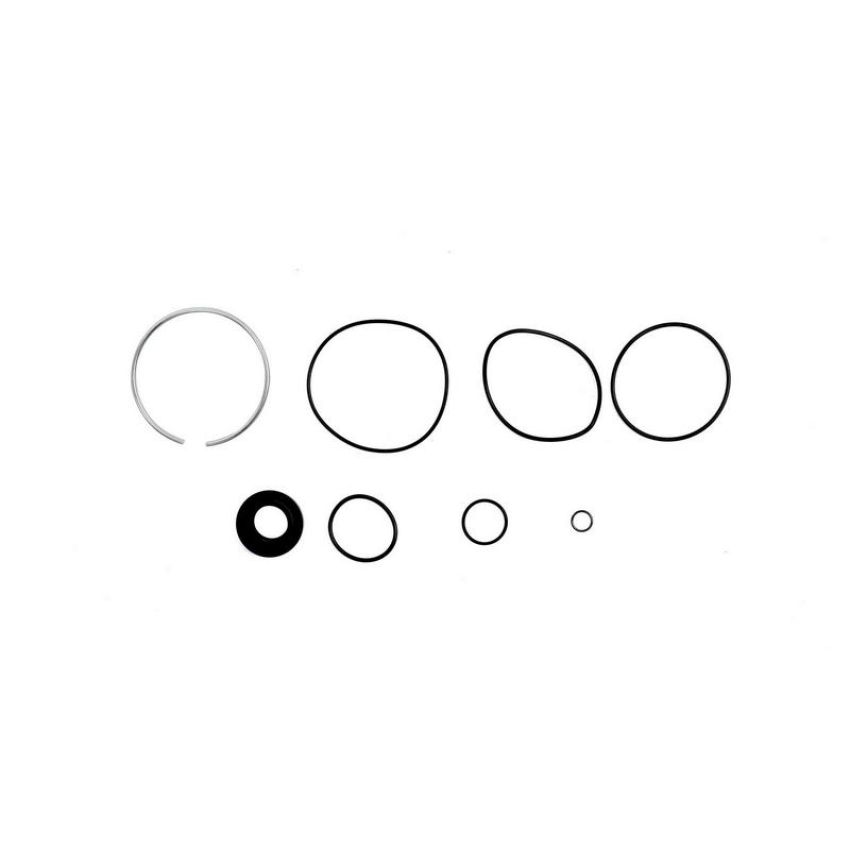 SUNSONG 8401547 Power Steering Pump Seal Kit