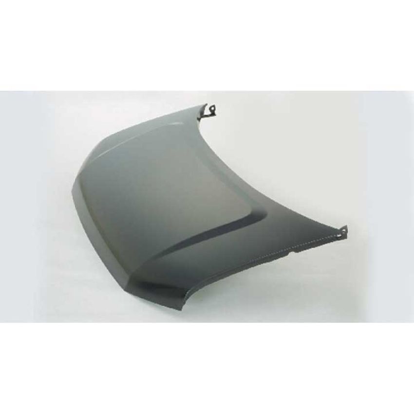 CAPA HOOD EXPRESS/SAVANA 2500/3500 03-C