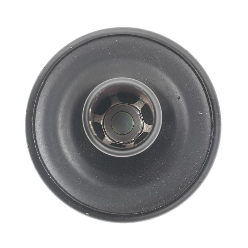 Standard Ignition AV9 Air Cleaner Check Valve
