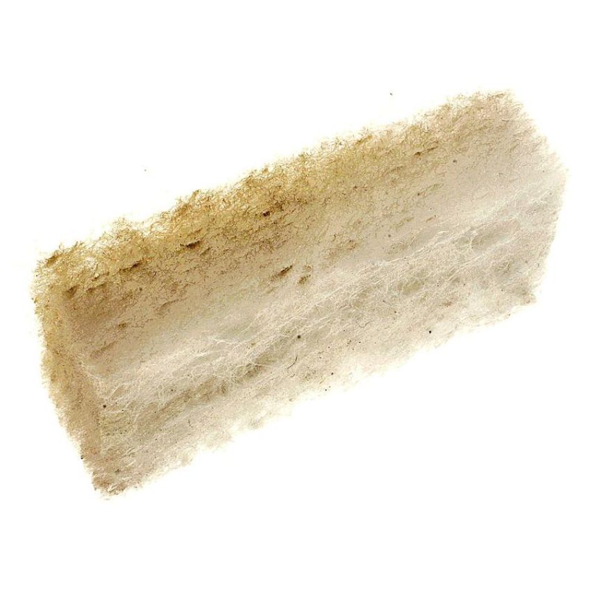 Standard Ignition BF29 Crankcase Ventilation Filter