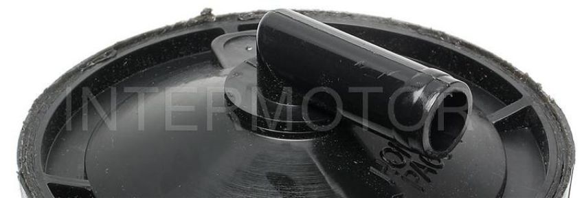 Standard Ignition CP3005 Fuel Vapor Canister
