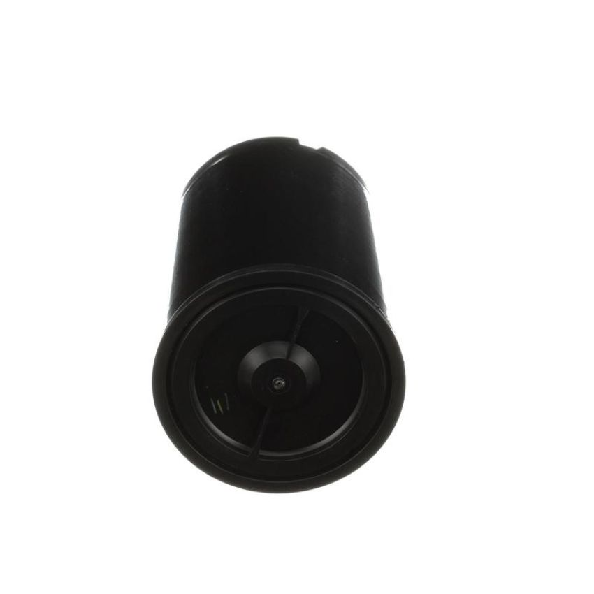 Standard Ignition CP3231 Fuel Vapor Canister
