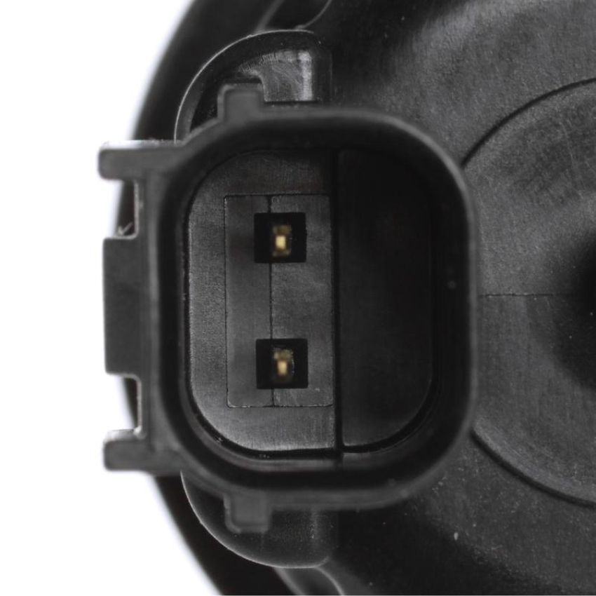 Standard Ignition CP989 Canister Purge Solenoid