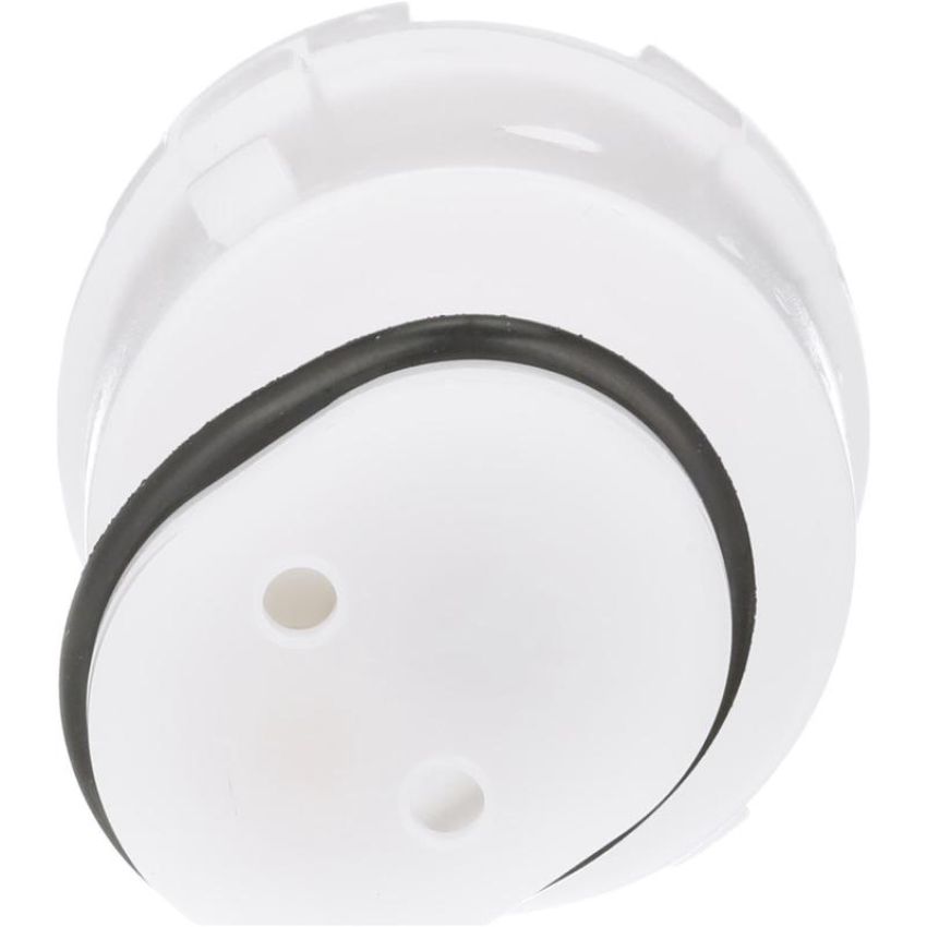 Standard Ignition CVS197 Canister Vent Valve