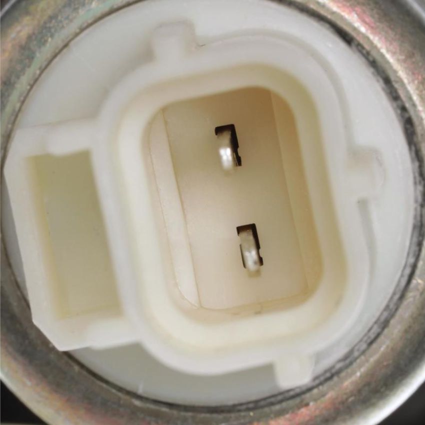 Standard Ignition CVS24 Canister Vent Solenoid
