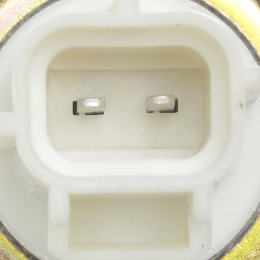 Standard Ignition CVS29 Canister Vent Solenoid