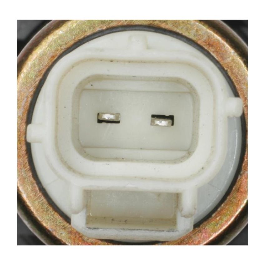 Standard Ignition CVS41 Canister Vent Solenoid