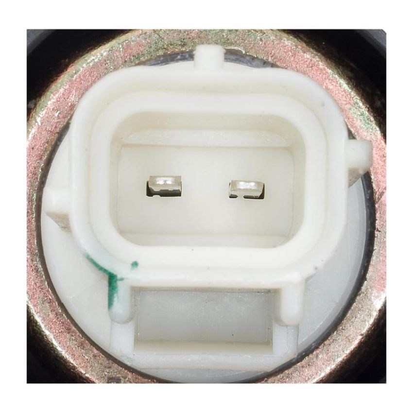 Standard Ignition CVS50 Canister Vent Solenoid