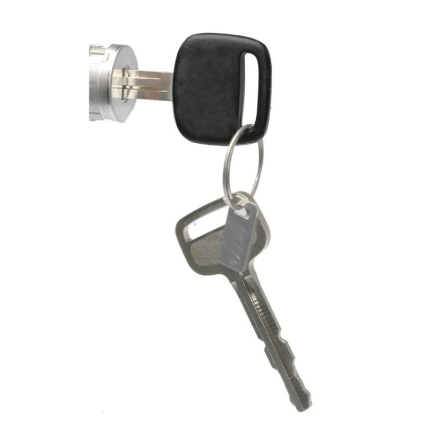 Standard Ignition DL-208 Door Lock Kit