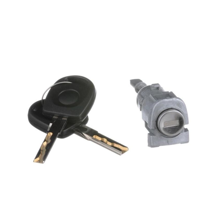 Standard Ignition DL300 Door Lock Kit