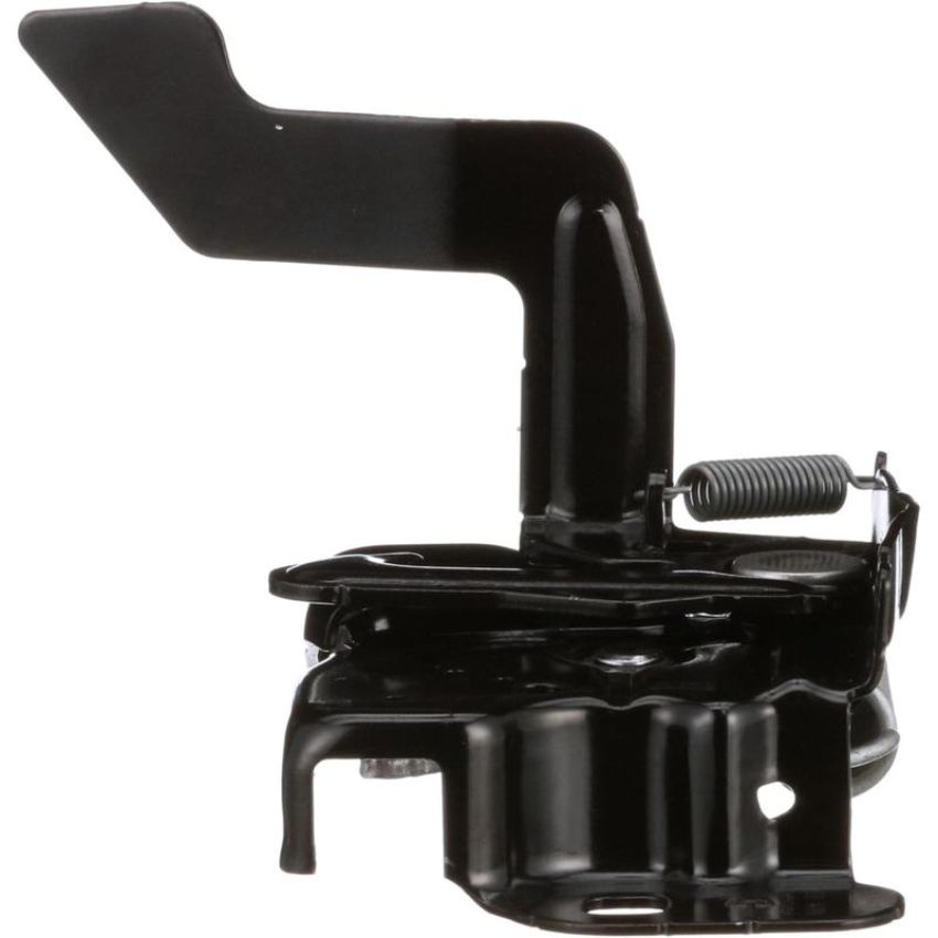 Standard Ignition DLA1549 Hood Latch Assembly