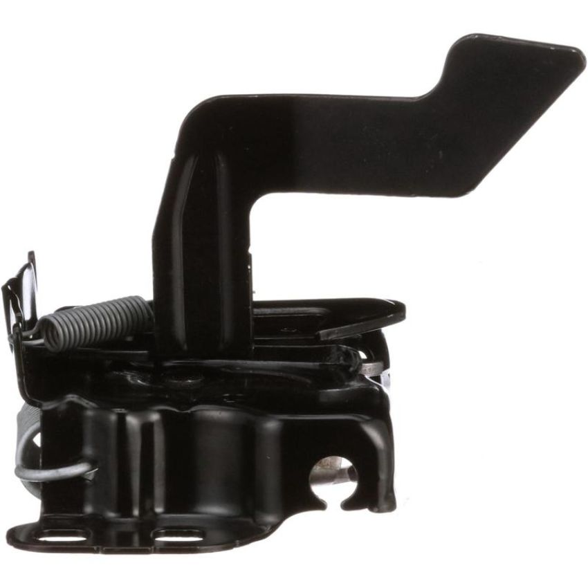Standard Ignition DLA1549 Hood Latch Assembly