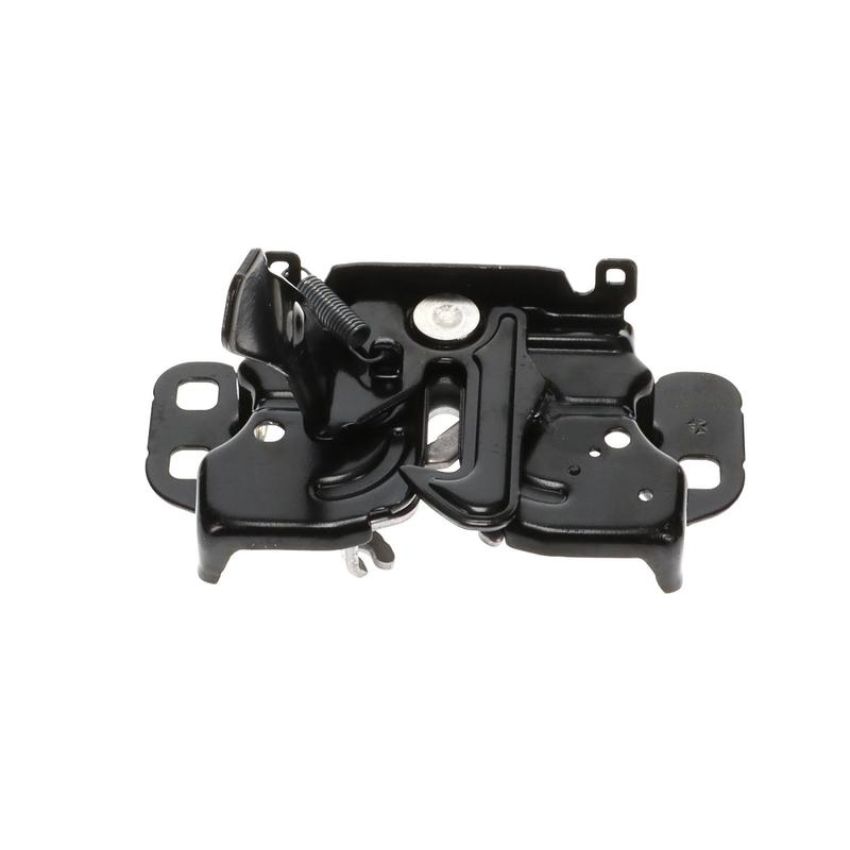 Standard Ignition DLA2074 Hood Latch Assembly