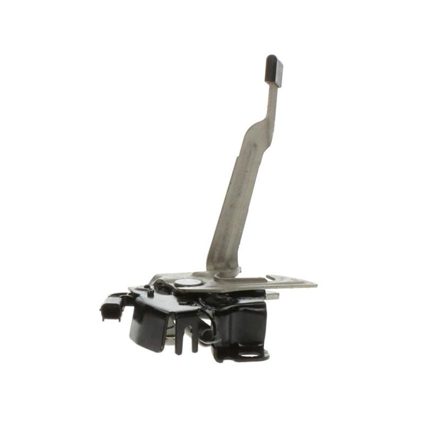 Standard Ignition DLA2079 Hood Latch Assembly