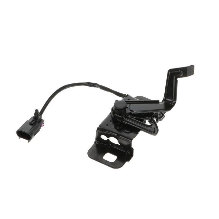 Standard Ignition DLA2080 Hood Latch Assembly