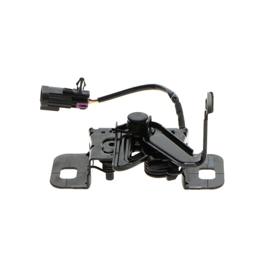 Standard Ignition DLA2080 Hood Latch Assembly