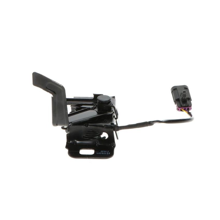 Standard Ignition DLA2080 Hood Latch Assembly
