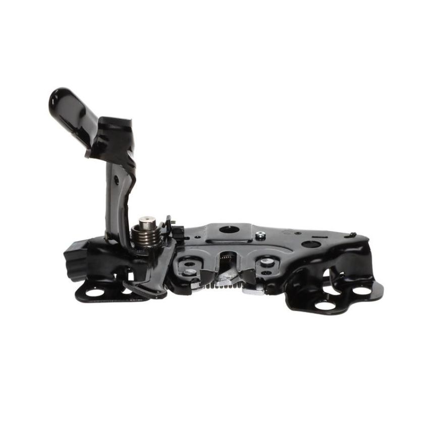 Standard Ignition DLA2081 Hood Latch Assembly