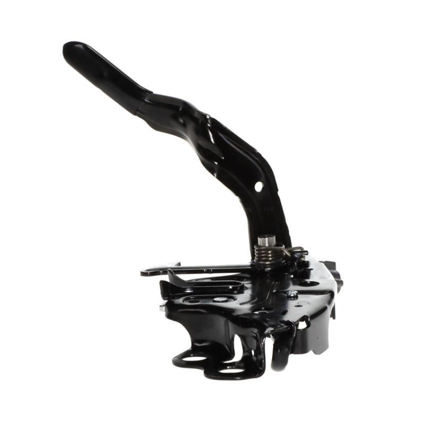 Standard Ignition DLA2081 Hood Latch Assembly