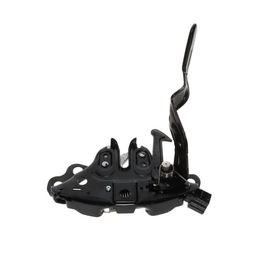 Standard Ignition DLA2081 Hood Latch Assembly
