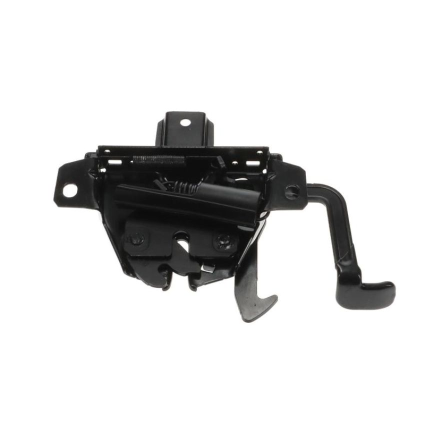 Standard Ignition DLA2114 Hood Latch Assembly