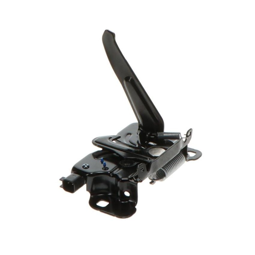 Standard Ignition DLA2173 Hood Latch Assembly