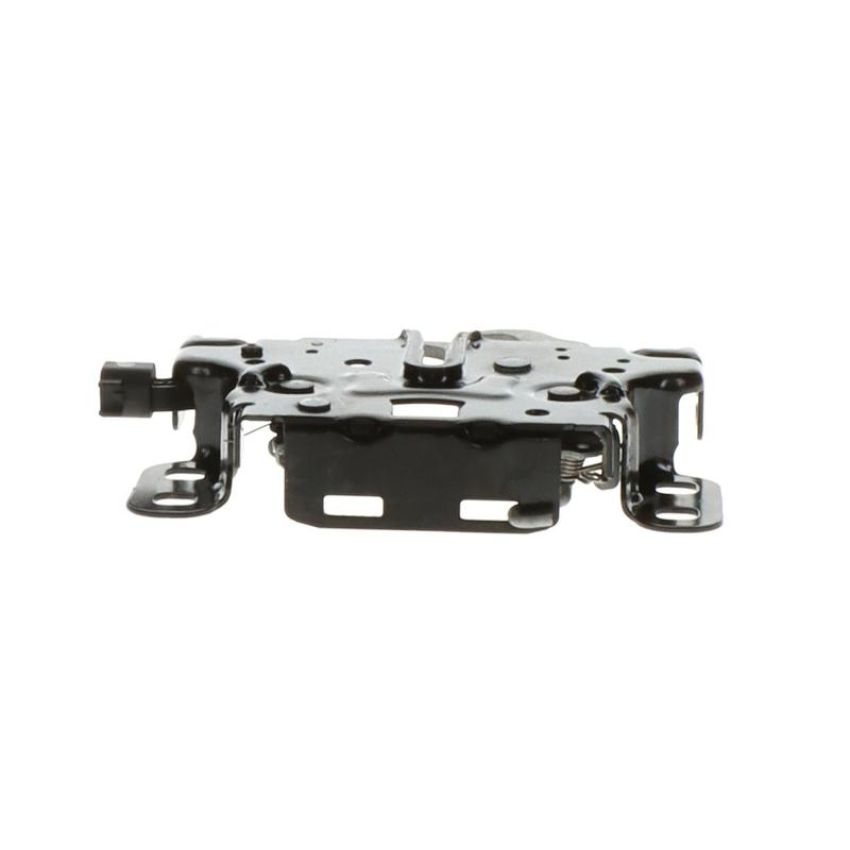 Standard Ignition DLA2180 Hood Latch Assembly