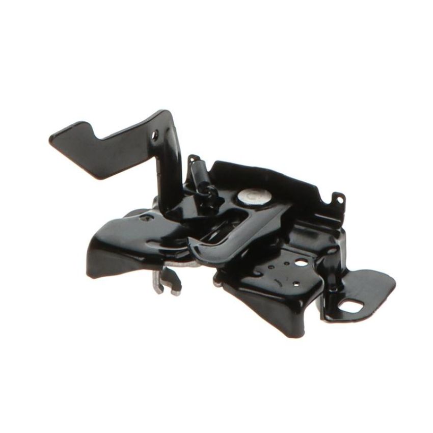 Standard Ignition DLA2194 Hood Latch Assembly