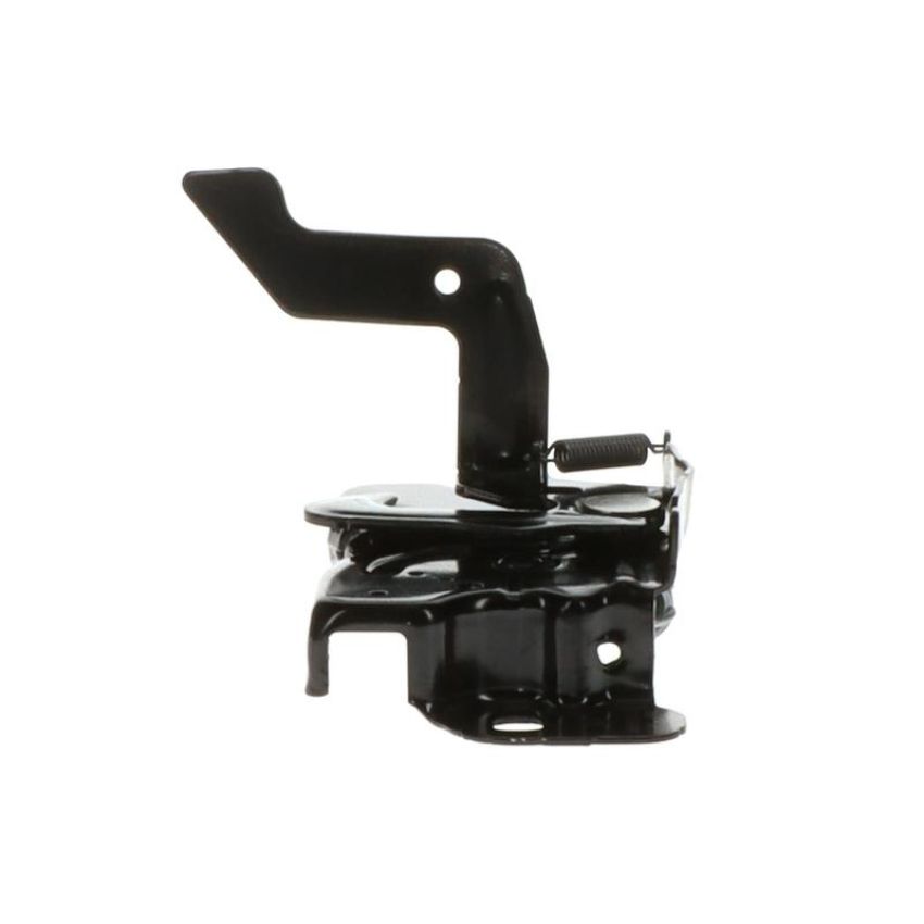 Standard Ignition DLA2194 Hood Latch Assembly